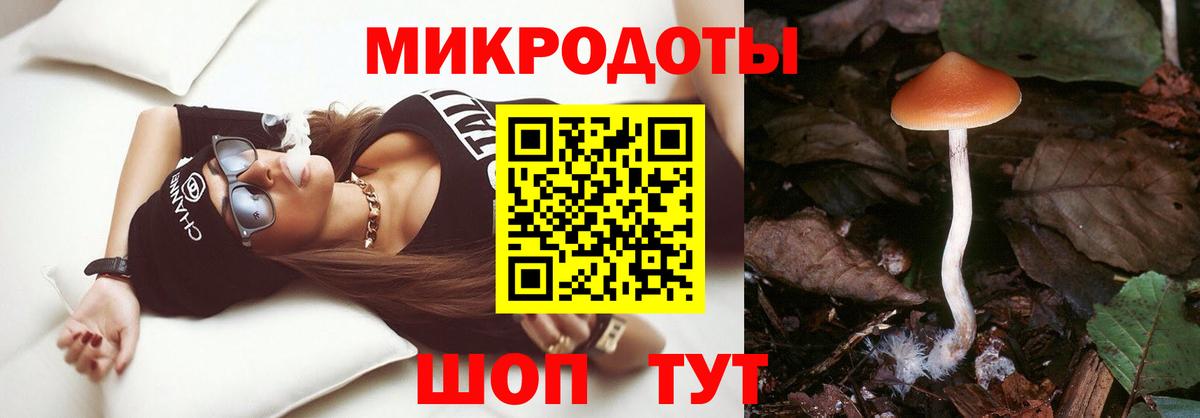 Галлюциногенные грибы Psilocybine cubensis Димитровград